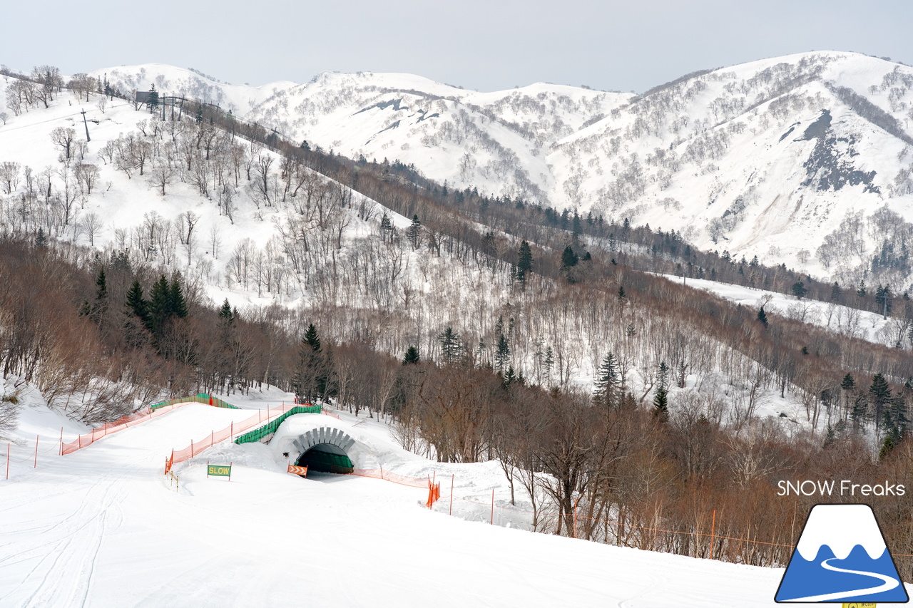 キロロリゾート｜いよいよ「ハイシーズン」は明日が最終日…。週明け4月6日からは「春シーズン」開幕でリフト料金がプライスダウン。まだまだ春も滑りましょう♪